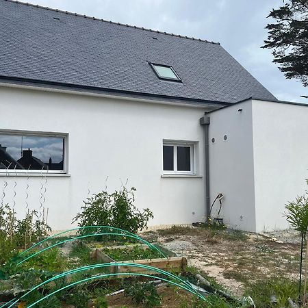 Maison Tamaris Avec Jardin Et Clos Quiberon Exterior photo
